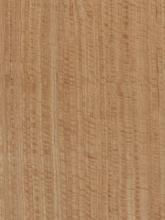 Eucalyptus qtrd fig Beeswing