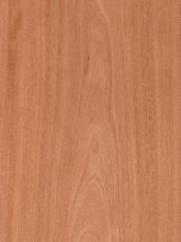 Mahogany South America FC