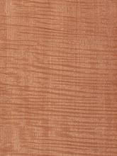 Makore qtrd fig fiddleback