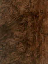 Walnut Burl